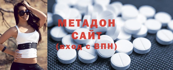 хмурый Аркадак