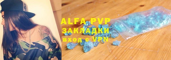 хмурый Аркадак