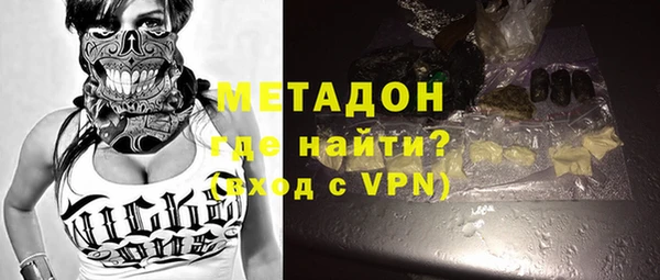 хмурый Аркадак