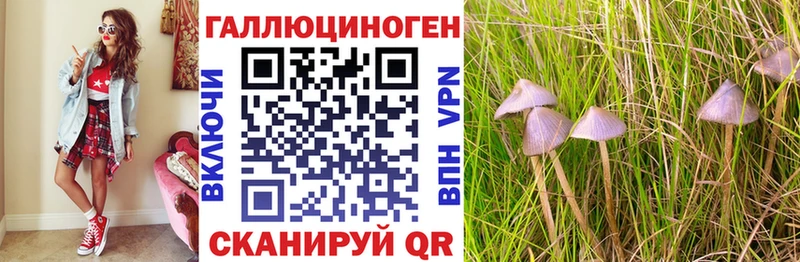 Псилоцибиновые грибы мухоморы  Ярославль 
