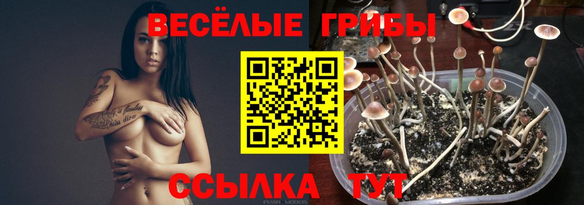 АМФЕТАМИН   Cocaine  А ПВП СОЛЬ   Гашиш  МЕФ  Ярославль  Cocaine  Вход с VPN  Меф кристаллы  Канабис  ГАШ 